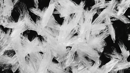 Poster - Intricate frost crystal texture for winter design and decoration