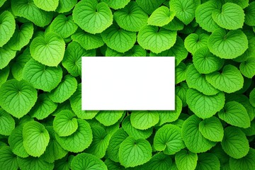 Poster - Blank white card on vibrant green leaves background.