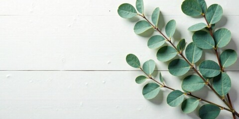 Poster - Serene Greenery Arranged on a White Wooden Surface, Ideal for Invitations or Announcements