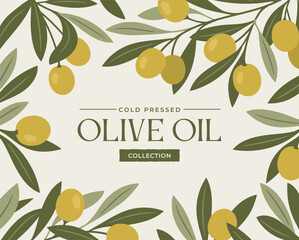 olive oil poster. advertisement banner or label template with olive tree branches, olives and text. 