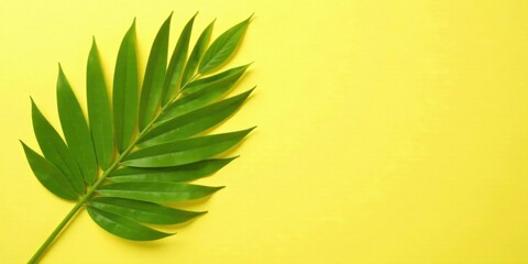 Poster - Vibrant Green Tropical Leaf on Sunny Yellow Background, Perfect for Summer Designs and Projects Illustrating Natural Beauty and Relaxation