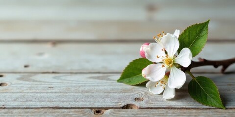 Poster - Delicate Spring Blossom Resting on Weathered Wooden Surface