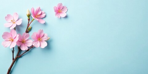 Poster - Delicate Pink Blossoms on a Light Blue Background, a Springtime Floral Image Perfect for Design Projects and Greeting Cards