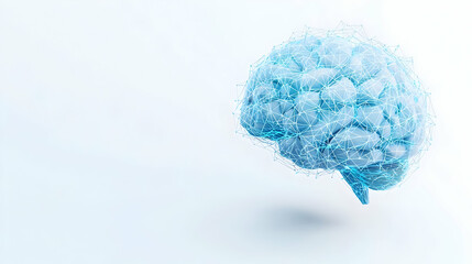 Poster - Abstract Digital Brain Representation with Geometric Connections