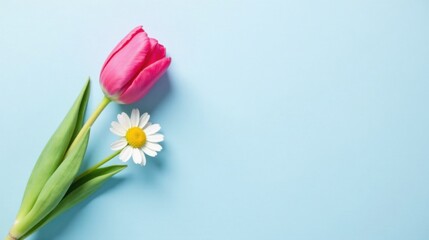 Poster - A vibrant pink tulip and a delicate daisy rest on a light blue background, creating a simple yet elegant floral arrangement.