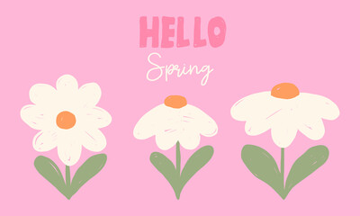 Fototapete - Hello spring. Floral horizontal banner with spring flowers daisy flowers
