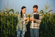 © Serhii - Family agricultural occupation. Man and woman are cultivating corn. They are satisfied with good progress of plants