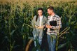 © Serhii - Family agricultural occupation. Man and woman are cultivating corn. They are satisfied with good progress of plants