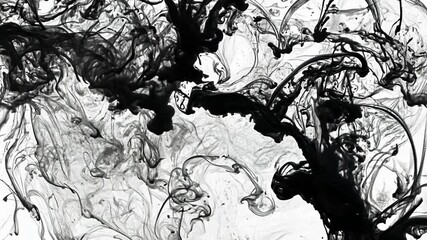 Poster - Abstract black ink splash swirling in water. Liquid flow of paint texture