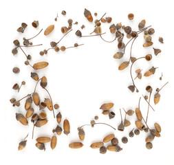 Wall Mural - Frame oak acorns isolated on white background. Set of dry brown acorns.