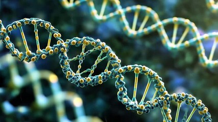 Poster - Exploring the intricate network of connections within a spinning DNA strand, network of connections over dna strand spinning