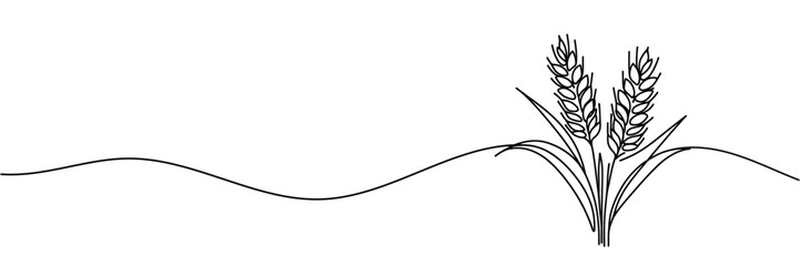 Continuous one line drawing of wheat. Barley or Rye outline vector illustration. One continuous line of wheat