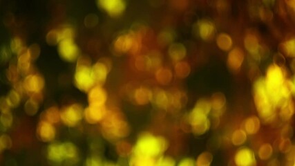 Wall Mural - natural yellow calm abstract blurred video background footage for background, to be applied as filli
