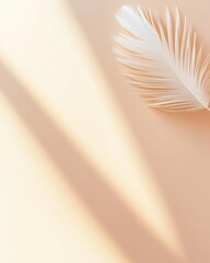 Poster - Feather floating above its shadow, dreamy minimalistic concept with space for text