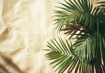Poster - Tropical Green Palm Leaves Against Textured Beige Background with Natural Light Shadows Creating an Inviting Summer Atmosphere for Relaxation and Rest