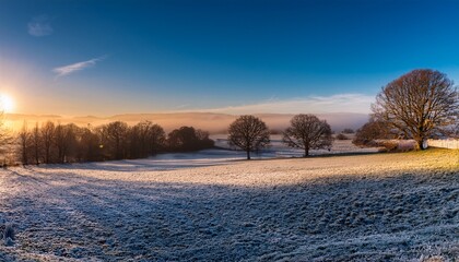 Wall Mural - a beautiful winter landscape on a cold december morning taken in cardiff south wales uk