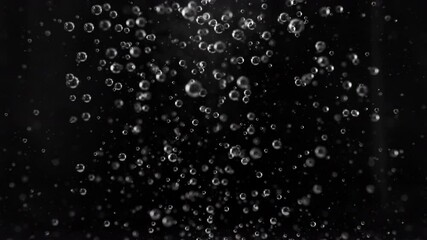 Wall Mural - super slow motion shot of air bubbles rising up, isolated on black background at 1000fps.