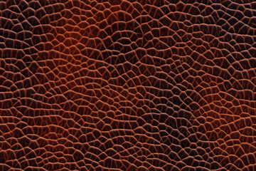 Poster - Brown leather texture background showing animal skin pattern