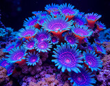 Prismatic coral reef tessellation with UV-reactive polyps, forming a vibrant underwater kaleidoscope of marine hues.