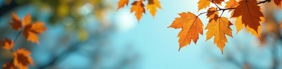 Wall Mural - Foliage and branches softly fall through a blurry blue sky, blurry, branches