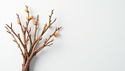 Wall Mural - A bundle of dried tree branches against a white background with subtle texture and muted colors, minimalist, simple, clean