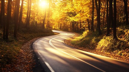 Poster - A scenic autumn forest road with golden leaves, capturing the beauty of nature in a tranquil setting.
