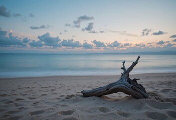 Poster - Tranquil Dusk Beach Scene. Driftwood Rests On Fine Sand, Reflecting The Pale Blue And Pink Twilight Sky. Soft Waves Create An Ethereal Peaceful. Beauty Abounds.