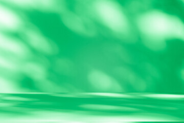 Poster - Wall interior background, studio and backdrops show products. with leaf shadow from window color green and white. background for text insertion and presentation of product	