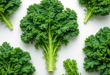 Poster - Fresh Kale Flat Lay, Deep Green Leaves, Healthy Food Concept. Crisp Textures. Organic Produce. Nutrient-rich Diet. Culinary Ingredient. Raw Vegetable. Farm Fresh. Deliciously Healthy. Wholesome.