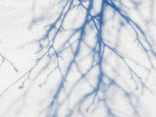 Wall Mural - shadows in the snow. shadows from branches, bushes and trees on the snowy surface of the ground. bea