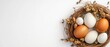 © Thinkinfinity - White and Brown Eggs in a Bird Nest with Dried Flowers on White Background