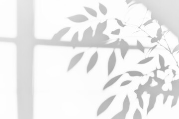 Aufkleber - Soft shadows of leaves create calming pattern on smooth, dark surface, evoking sense of tranquility and nature gentle touch