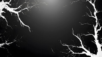 Poster - A stark black background featuring intricate, white lightning-like branches extending from the edges, creating a striking contrast