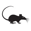 © ZahirullahZahir - Rat vector Design