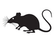 © ZahirullahZahir - Rat vector Design