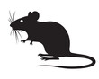 © ZahirullahZahir - Rat vector Design