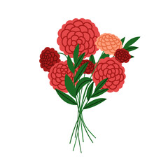 Poster - Dahlia flower bouquet. Beautiful floral bunch with lush petals, leaves, cut stems. Elegant romantic gift, garden blossoms, blooming plants. Flat vector illustration isolated on white background