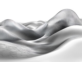 Poster - Monochrome landscape featuring smooth curves and patterned overlays