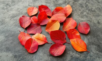 Wall Mural - Close-up of vibrant red and orange autumn leaves scattered on a textured gray surface illuminated by soft natural light creating a seasonal composition