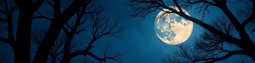 mysterious tree branches illuminated by a full moon, nighttime, glow