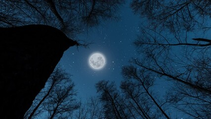 Wall Mural - starry sky in the night forest
