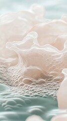 Poster - Soft textures and delicate bubbles merge in a tranquil aquatic environment, revealing intricate details and gentle movements that capture the essence of calmness