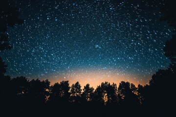 Wall Mural - enchanting nightscape featuring celestial star trails above a serene forest silhouette offering a se