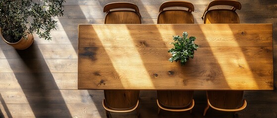 Poster - Elegant wooden dining table with chairs and plant in sunlight from above for interior design and home decor stock photo