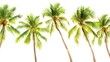 © wiwat apisithpinyo - Line of Lush Green Palm Trees Against a Bright White Background Evoking Tropical Vibes