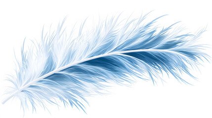 Poster - A delicate blue feather with soft, wispy strands, showcasing a blend of light and dark shades, resembling tranquility and elegance
