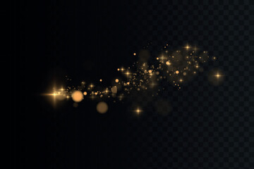 Poster - Vector sparkles on a transparent background. Christmas light effect. Sparkling magical dust particles.The dust sparks and golden stars shine with special light