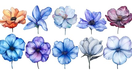 Poster - A stunning watercolor floral set featuring hand painted abstract botanical each flower elegantly crafted with delicate brushstrokes and vibrant hues  isolated on a clean background