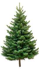 Poster - Perfect Christmas tree with lush green needles, isolated on a transparent background, ready for festive decorations