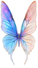 Poster - Vibrant butterfly displaying detailed wing patterns against transparent backdrop, highlighting delicate natural design